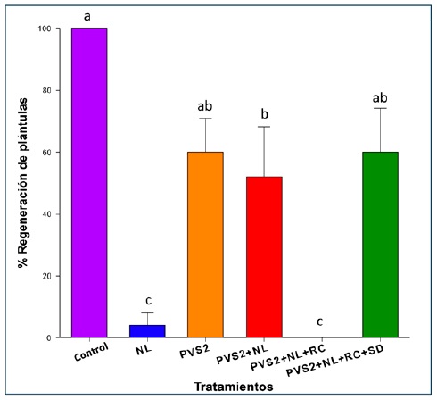 Porcentaje de plántulas regeneradas después 15 días en medio de regeneración. T1: control, T2: NL, T3: PVS2, T4: PVS2+NL, T5: PVS2+NL+RC y T6: PVS 2+NL+RD+SD. Letras diferentes muestran las diferencias significativas entre los tratamientos, p < 0.05.  