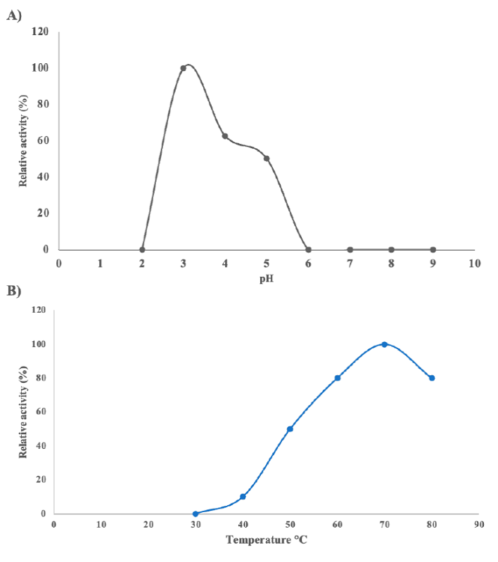 Effect of pH and temperature on the activity of the glucoamylase secreted by A. niger HDP-2. A) Activity tests varying the pH per unit from 2 to 9; B) Activity tests varying the temperature from 30 to 80 C at pH 3. Figura 3. Efecto del pH y la temperatura sobre la actividad de la glucoamilasa secretada por A. niger HDP-2.