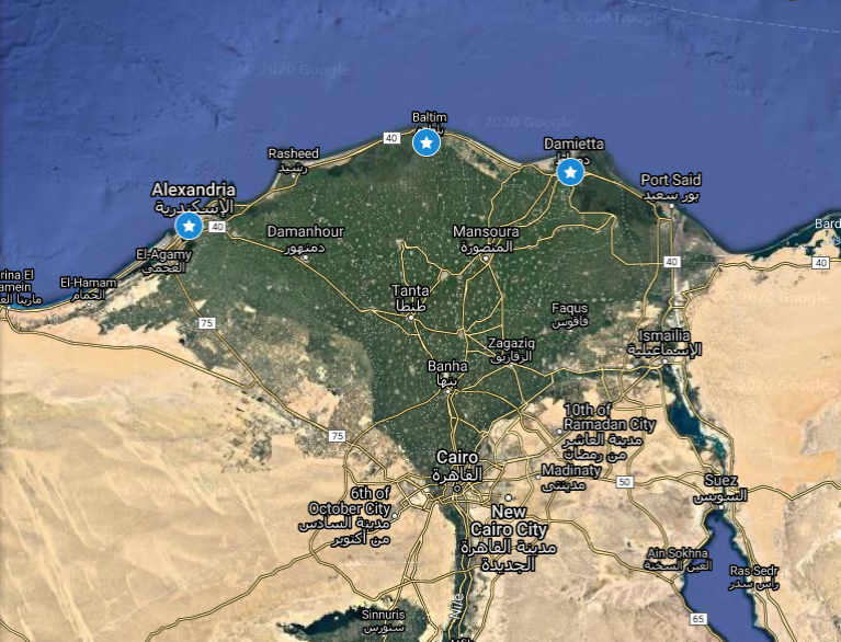 A Google map of Egyptian Nile Delta reaching the Mediterranean Sea where soil sample were collected. Blue stars indicate the geographic sample collection. 