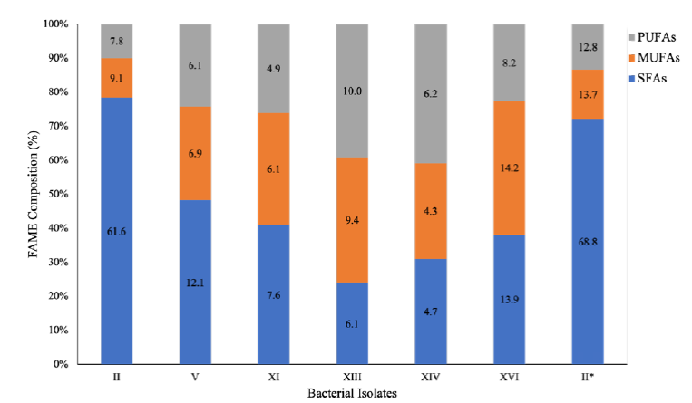 The total concentrations of saturated, monounsaturated, and polyunsaturated fatty acids as indicated by the FAME profiles. 