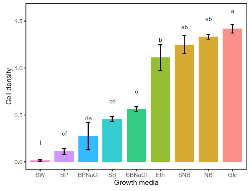 Growth density of B. subtilis MZ1 on different growth media. Glc stands for nutrient broth medium where glucose was used instead of the yeast extract; NB nutrient broth; SNB is nutrient broth where seawater was used to dissolve its components; Eth stands for nutrient broth medium where ethanol was used instead of the yeast extract; SBNaCl implicates growth medium that contains only sugarcane bagasse extract dissolved in seawater; SB implicates growth medium that contains only sugarcane bagasse extract; BPNaCl refers to growth medium that encloses only banana peel extract dissolved in seawater; BP denotes to growth medium that has banana peel extract only; and SW implicates seawater only. 