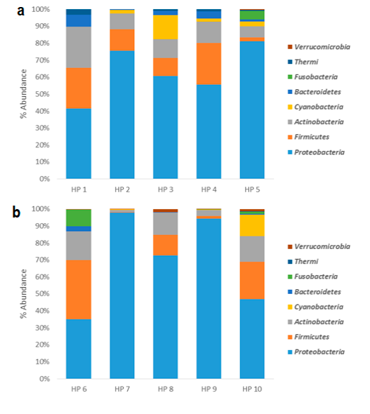 Relative abundance at the phylum level of the microbiota from white shrimp hepatopancreas (Penaeus vannamei). a) Farm 1, HP1: non-AHNPD hepatopancreas; HP2, HP3, HP4, HP5: hepatopancreas AHPND, b) Farm 2, HP6: non-AHNPD hepatopancreas; HP7, HP8, HP9, HP10: hepatopancreas AHPND. 