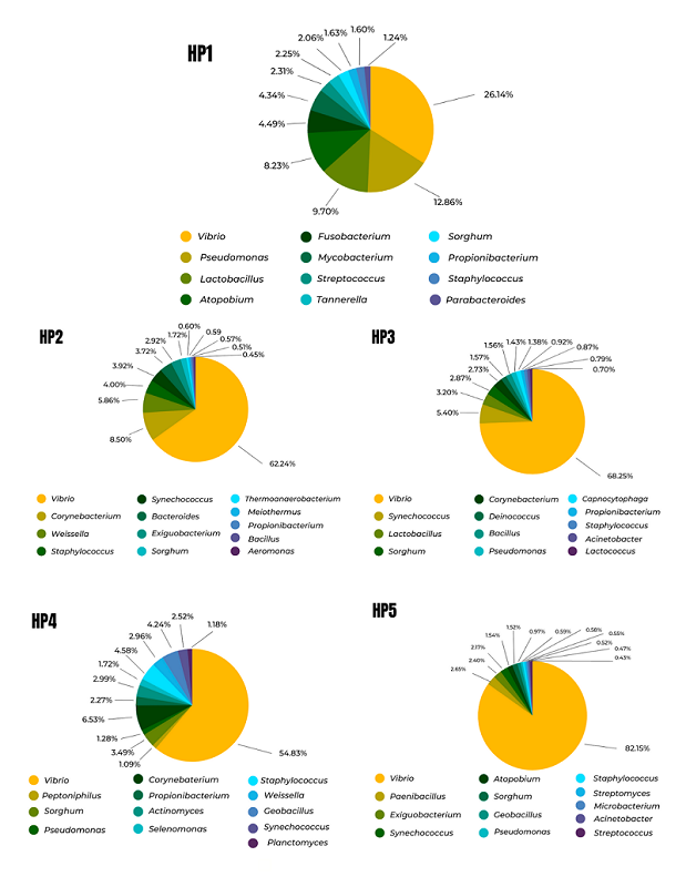 Relative abundance at the genus level of the microbiota from white shrimp hepatopancreas (P. vannamei). Farm 1, HP1: non-AHNPD hepatopancreas; HP2 to HP5: diseased hepatopancreas AHPND. 