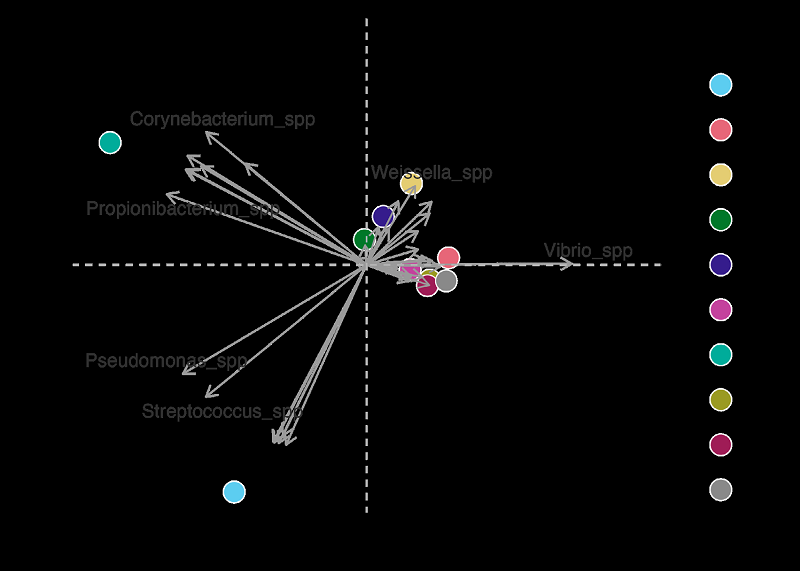 Principal component analysis (PCA). Vector dispersion and correlation of relative abundance of microbiota at the genus level. HP1 and HP6: non-AHPND hepatopancreas; HP7 to HP10: diseased hepatopancreas AHPND. 