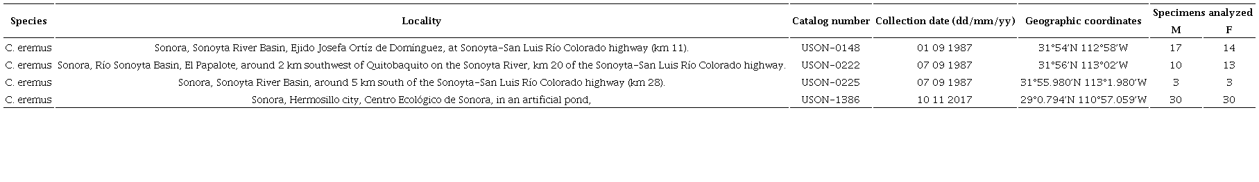 Collecting sites for specimens from wild Cyprinodon eremus populations used in this study for morphometric and meristic analyses. USON = Universidad de Sonora, Hermosillo, M = Males, F = Females. 
							