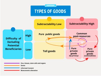 Bioobject classification matrix. My own proposal based on Elinor Ostrom&rsquo;s typology (Ostrom, 1994). 