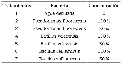 Tratamientos a evaluar para el control del nematodo agallador Meloidogyne incognita extra�do de ra�ces de pepino. 
							