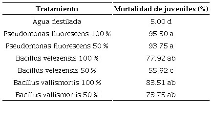 Mortalidad de juveniles de M. incognita a 24 horas de exposici�n a los tratamientos. 
							