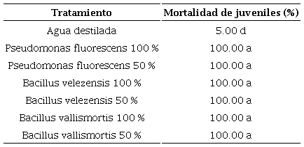 Mortalidad de juveniles de M. incognita a 48 h de exposici�n de los tratamientos. 
							
