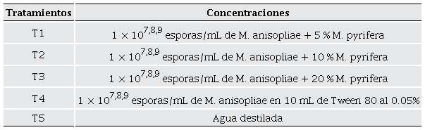 Tratamientos y su concentración en el bioensayo de patogenicidad de Metarhizium anisopliae sobre larvas de Chloridea virescens. El bioensayo contó con 30 unidades experimentales por tratamiento y se replicó tres veces, bajo las mismas condiciones experimentales