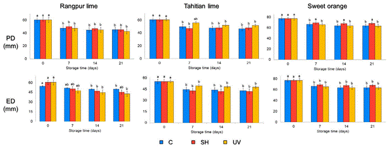 Values of polar diameter (PD) and equatorial diameter (EQ) of rangpur red lime, Tahitian lime, and sweet orange, without treatment (C), treated with sodium hypochlorite (SH), and irradiated with ultraviolet short wave (UV) during storage at 26 �C for 12 d. Vertical lines correspond to standard error. Distinct lowercase letters (a-b) positioned above bars (separately for each treatment) denote significant disparities (p < 0.05). 
								