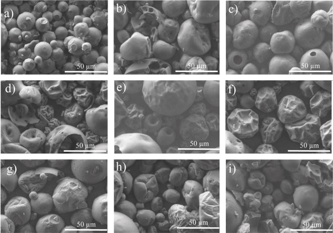 Morphology of carrier agents (controls) and pitaya (Stenocereus stellatus) encapsulates prepared with different mixtures of fructan (FRU), whey protein concentrate (WPC), and OSA starch (OSA), as carrier agents (%). (a) FRU-Control, (b) 24.7 FRU-65.3WPC-10 OSA, (c) 50 FRU-39.7 WPC-10.3 OSA, (d) 0 FRU-50 WPC-50 OSA, (e) 0 FRU-90 WPC-10 OSA, (f) WPC-Control, (g) OSA-Control, (h) 0 FRU-24.9 WPC-75.1 OSA, (i) 27.5 FRU-37.8 WPC-34.7 OSA. 