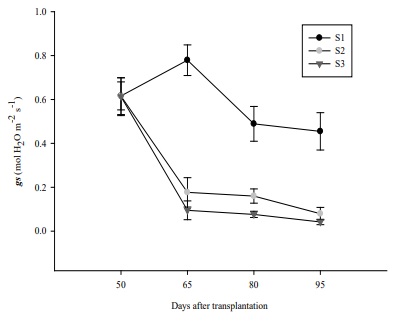 Stomatal conductance (gs) in bell pepper plants grown under three irrigation sheets. S1: Ψm = 10 to 15 kPa, S2: Ψm = 34 to 40 kPa and S3: Ψm = 54 to 60 kPa. Bars indicate standard deviation (n=5).  