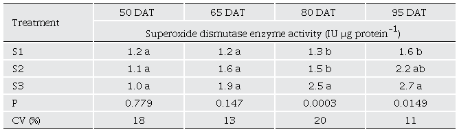 Superoxide dismutase enzyme activity in bell pepper plants grown under three irrigation sheets.