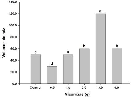 Volumen de ra�z en plantas de chile jalape�o (Capsicum annuum L.) a diferentes dosis de micorrizas Suppra�.