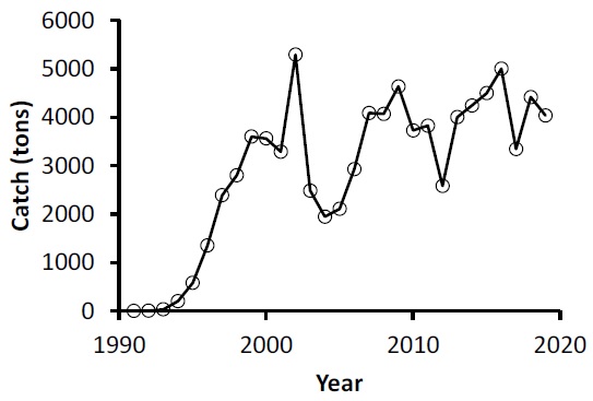 Catch series of Cynoscion othonopterus at the upper gulf of California.