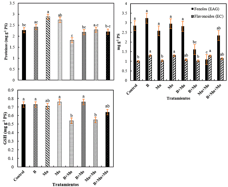 Prote�nas y antioxidantes hidrof�licos. Letras distintas indican diferencias significativas entre tratamientos (LSD, p &le; 0.10). EAG: Equivalentes de �cido g�lico; EC: Equivalentes de catequina; GSH: Glutati�n reducido; PS: Peso seco. n = 4 � error est�ndar.
								