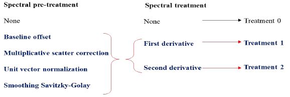 General overview of the implemented spectral transformations on the FT-MIR data matrix obtained from mezcales. Treatment zero did not include any transformation. Treatments one and two included all four pre-treatments (baseline offset, multiplicative scatter correction, unit vector normalization, and Savitzky-Golay smoothing). The difference was that treatment one was processed with the first derivative, and treatment two was analyzed with the second derivative.