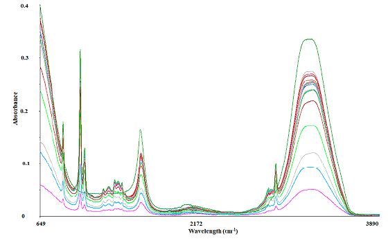 FT-MIR raw spectra obtained from mezcales before the spectral pre-treatment. This data matrix was subjected to multivariate analysis and its performance was evaluated.