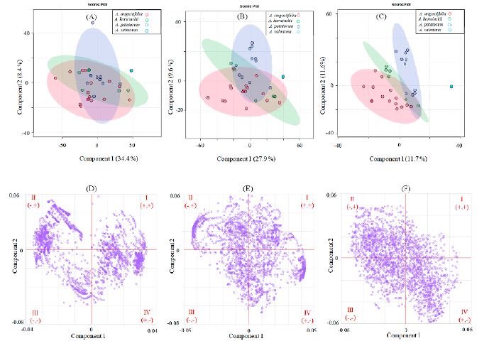 Partial Least Squares (PLS)-Discriminant Analysis (DA) of mezcales subjected to FT-MIR spectroscopy. The scores and loadings plots were performed on the raw [(A) and (D)], first derivative [(B) and (E)], and second derivative [(C) and (F)] data. The roman numerals indicate the quadrants of the graph (I, II, III, and IV). 
								