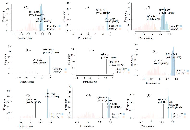 Orthogonal Partial Least Squares (OPLS)-Discriminant Analysis (DA) performance of the mezcales subjected to FT-MIR spectroscopy. R2Y, Q2, and p-value are based on the raw [(A), (B), and (C)], first derivative [(D), (E), and (F)], and second derivative [(G), (H), and (I)] data. Pairwise comparisons to evaluate the discriminations between A. angustifolia and A. potatorum [(A), (D), and (G)], A. karwinskii, and A. potatorum [(B), (E), and (H)], and A. angustifolia and A. karwinskii [(C), (F), and (I)] were performed. The significance of the OPLS-DA was set at 0.05.
								