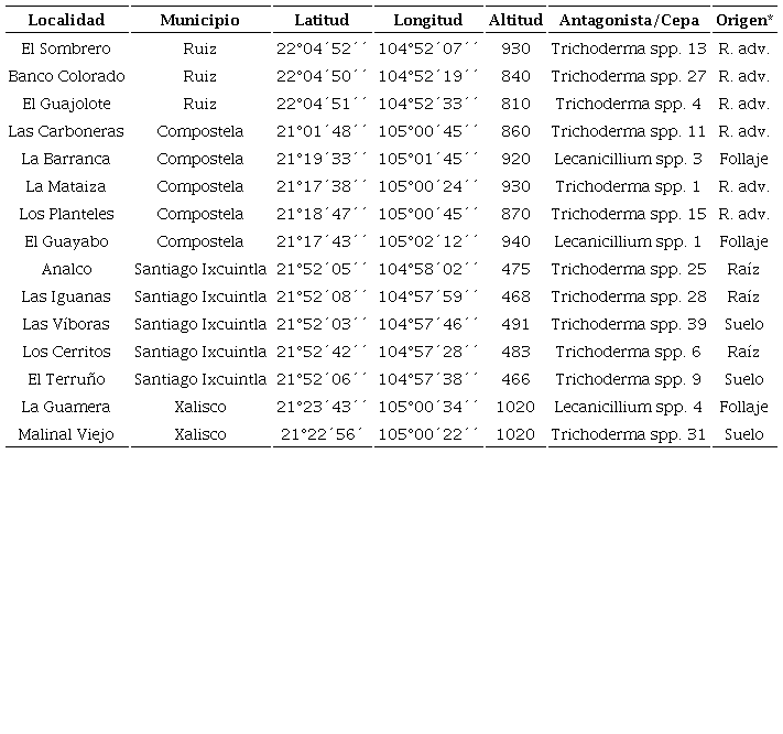 Collection sites of coffee rust antagonists in Nayarit.