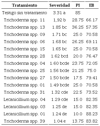 Severidad de la roya del caf�, porcentaje de infestaci�n (PI) y efectividad biol�gica (EB) bajo tratamiento de control biol�gico con cepas de Trichodermaspp. y Lecanicillium spp. en Compostela, Nayarit.