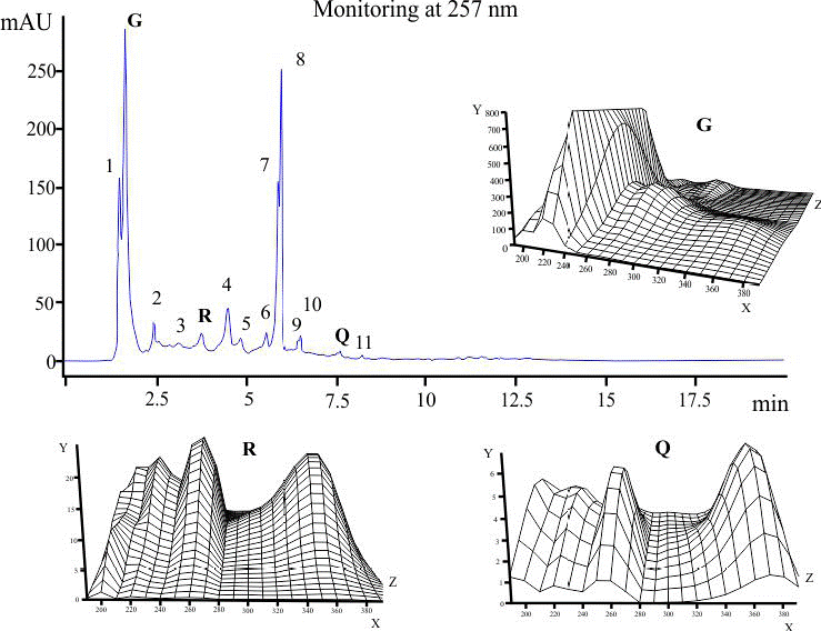Representative chromatogram and spectra records for the compounds (G, Q, R, 1, 2, 3, 4, 5, 6, 7, 8, 9, 10, and 11) eluted from an L. leucocephala leaf extract. The absorbance (mAU) on the Y-axis, the wavelength (nm) on the X-axis, and the time (min) on the Z-axis are plotted in each 3D spectrogram. G, gallic acid; R, rutin; Q, quercetin.
								