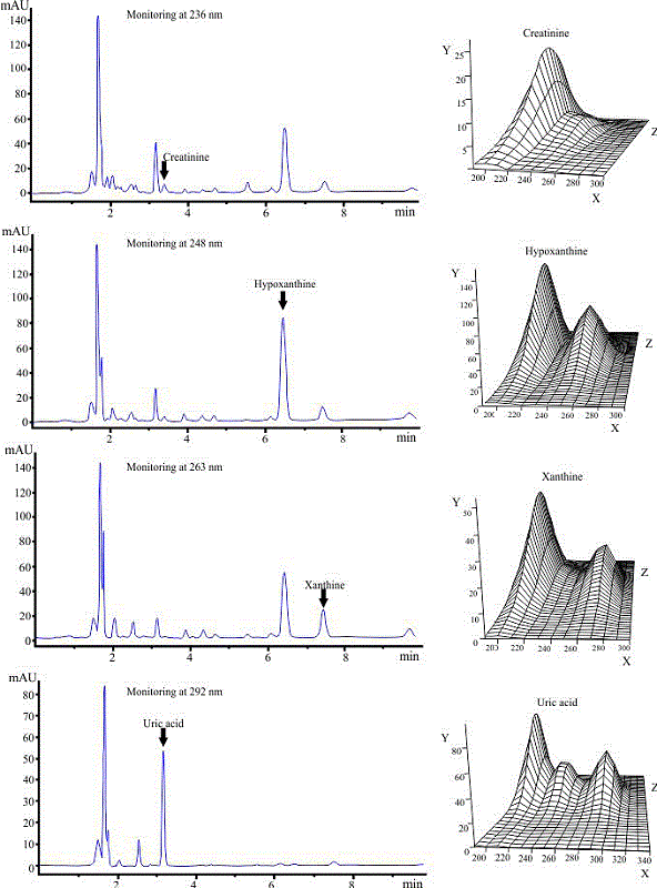 Representative chromatograms obtained from a serum sample of mice pertaining to the group administered with oxonate, allopurinol, leaf extract, and hypoxanthine. Furthermore, the spectrum record for each peak is shown. The absorbance (mAU) represented on the Y-axis, the wavelength (nm) represented on the X-axis, and the time (min) represented on the Z-axis are plotted in each 3D spectrogram.
								