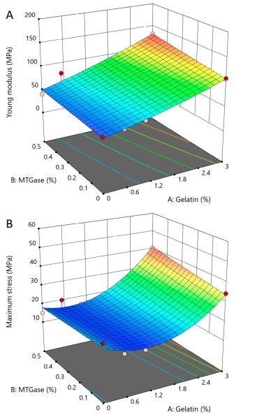 Effect of MTgase and gelatin on Young modulus (A) and maximum stress (B) of crab meat gels. 