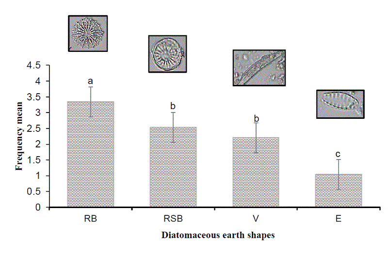 Frecuencia de formas de caparazones encontradas en tierra de diatomea. Medias con la misma letra no son significativamente diferentes (P &le; 0.05). Radial con bordo (RB), Forma radial sin bordo (RSB), Forma de varilla (V), Forma de elipse (E).
									