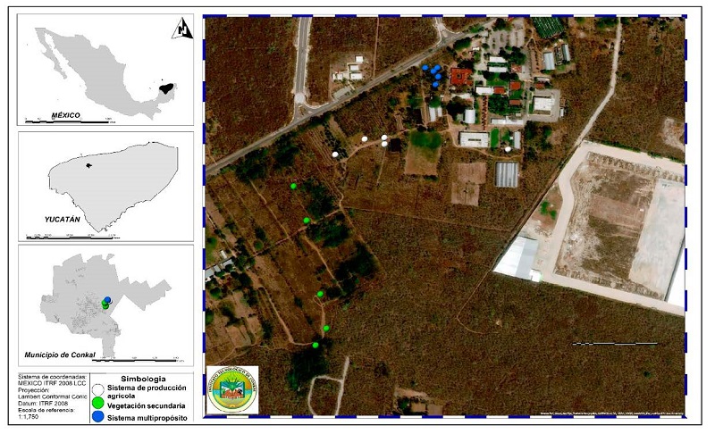 Localizaci�n de los tres sistemas con diferente manejo seleccionados para la obtenci�n del in�culo micorrizico arbuscular.
									