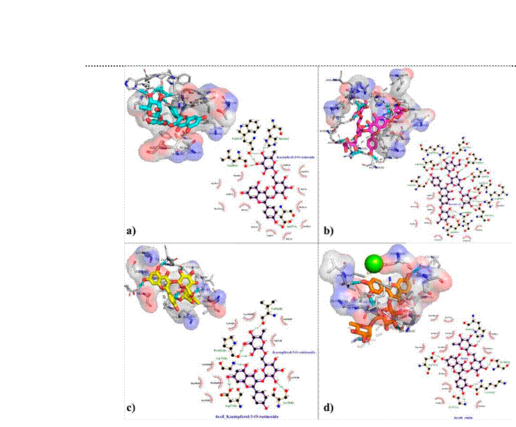 Two and three-dimensional representation of the hydrogen bonding and hydrophobic interaction between ligands within the binding cavity of receptors. a) Kaempferol-3-O-rutinoside-2W9S complex, b) Kaempferol-3-(2G-glucosylrutinoside)-7-rhamninoside-2ZCO complex, c) Kaempferol-3-O-rutinoside-4OX8 complex and d) Rutin-4WUB complex.
								