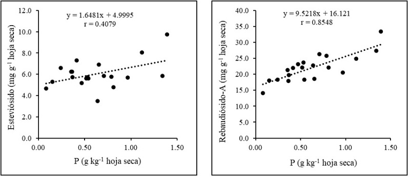 Correlaci�n lineal positiva entre el contenido de f�sforo foliar y el contenido de A) estevi�sido y B) rebaudi�sido-A en plantas de S. rebaudiana. 