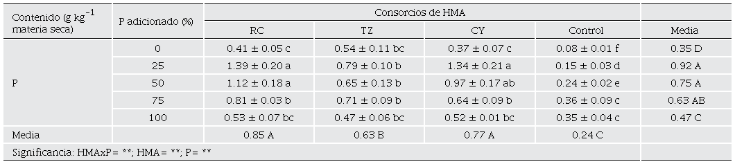 Efecto de la inoculaci�n de consorcios de HMA nativos y diferentes concentraciones de P2O5 en el contenido de f�sforo en hojas S. rebaudiana.