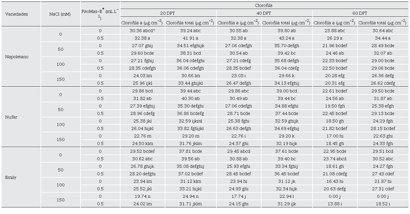 Efecto de la interacci�n variedades � NaCl � FitoMas-E� en el contenido de clorofilas de plantas de albahaca sometidas a estr�s por NaCl 