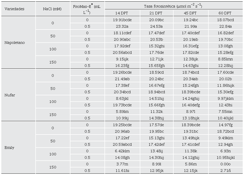 Efecto de la interacci�n variedades � NaCl � FitoMas-E� en la tasa fotosint�tica de plantas de albahaca sometidas a estr�s por NaCl.