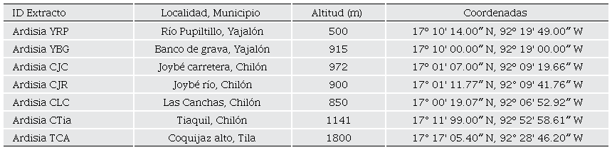 Poblaciones silvestres de Ardisia compressa Kunth, recolectadas en cuatro municipios del Estado de Chiapas. 