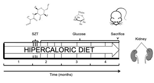 Dise�o experimental.  