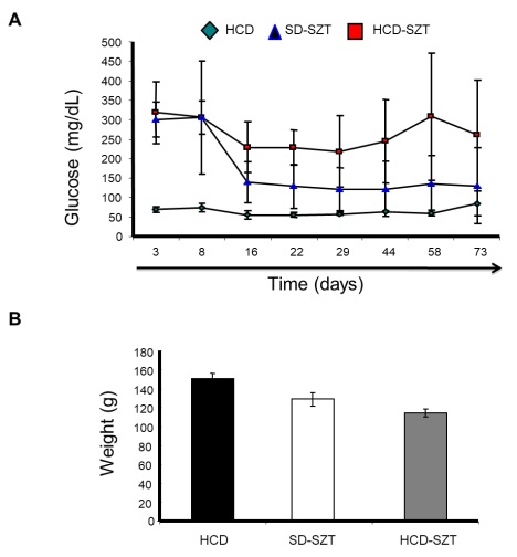 Glucose and weight determinations. A) shows a constant elevation of glucose concentration (mg/dL) observed in HCD-STZ group (line with red-box). B) an important decrement in weight (g) of animals HCD fed plus STZ treated. The results are presented as means � SD, with p<0.05 indicating statistical significance.