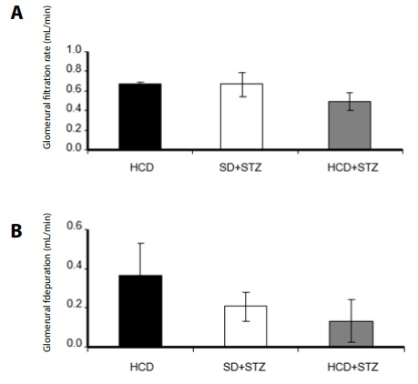 Renal function analysis. A) represent creatinine depuration in HCD, standard diet plus streptozotocin (SD-STZ) and hypercaloric diet plus streptozotocin (HCD-STZ) animals; B) indicate the glomerular filtration rate in each experimental group. The results are represented as mean � SD, in mL/min.
