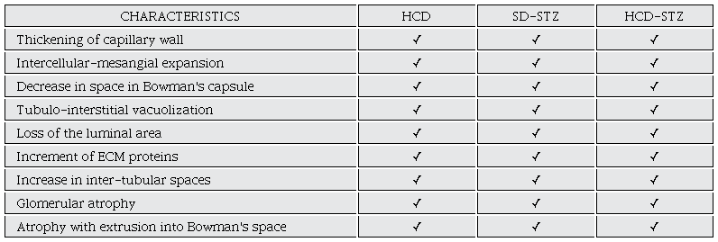 Histopathological evaluation. The renal characteristics in each experimental group are indicated by the &radic; presence and the damage intensity it represented by its size.