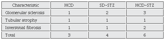 Kidney damage rate. The group of HCD-STZ animals displayed an exacerbated damage assessed by increments of glomerular sclerosis, interstitial fibrosis, and tubular atrophy. A total of 4 cortical fields per animal were analyzed.