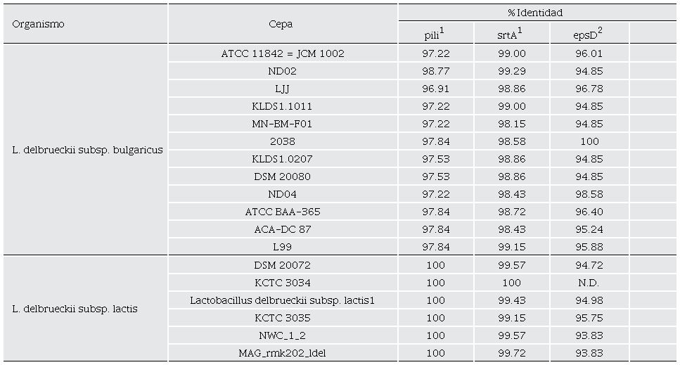 Alineamiento de la secuencia nucleot�dica de los genes pili, srtA y epsD. Para el alineamiento se utilizaron los genes de 1L. delbrueckii subsp. lactis KCCM 34717 y a 2L. delbrueckii subsp. bulgaricus 2038 como genes de referencias. N.D., no determinado.