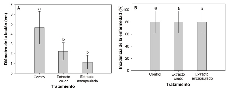 Actividad antif�ngica del extracto de hoja de mango crudo y encapsulado contra P. digitatum en naranjas. En cada gr�fica los valores con la misma letra no son estad�sticamente diferentes (P < 0.05). Las barras representan la media y las l�neas verticales la desviaci�n est�ndar. A) di�metro de la lesi�n y B) incidencia de la enfermedad.