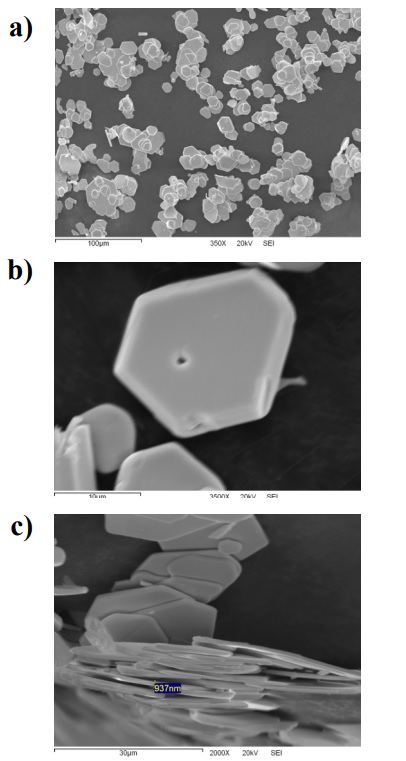 Im�genes MEB de las part�culas de yoduro de plomo. a) 350X, b) 3500X y c) secci�n transversal 2000X.