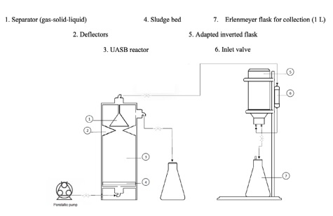 Diagram of biogas production and quantification in an anaerobic UASB reactor. 