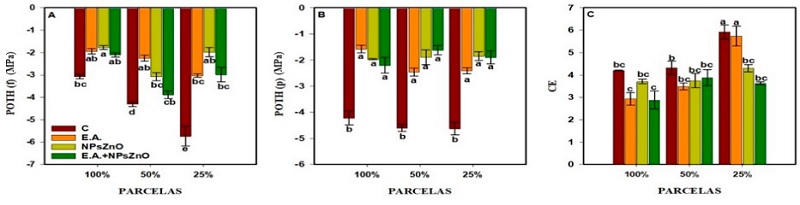 Evaluaci�n de variables fisiol�gicas de la planta y propiedades fisicoqu�micas del sustrato. 