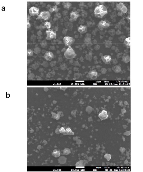SEM micrographs of spray-dried powder particle; simple spray-dried process (a) and the double spray-dried process (b). 