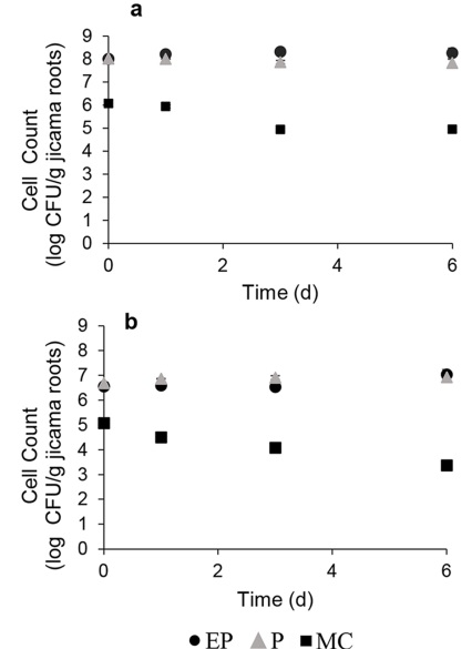 Effect of different types of coatings on cell viability of Lactobacillus acidophilus (a) and Bifidobacterium spp. (b) during the storage of jicama roots at 4 �C for six days. EP (green coffee extract/probiotics); P (probiotics); MC (microencapsulated with chitosan obtained by double spray drying). The other treatments are omitted because they were not inoculated. 